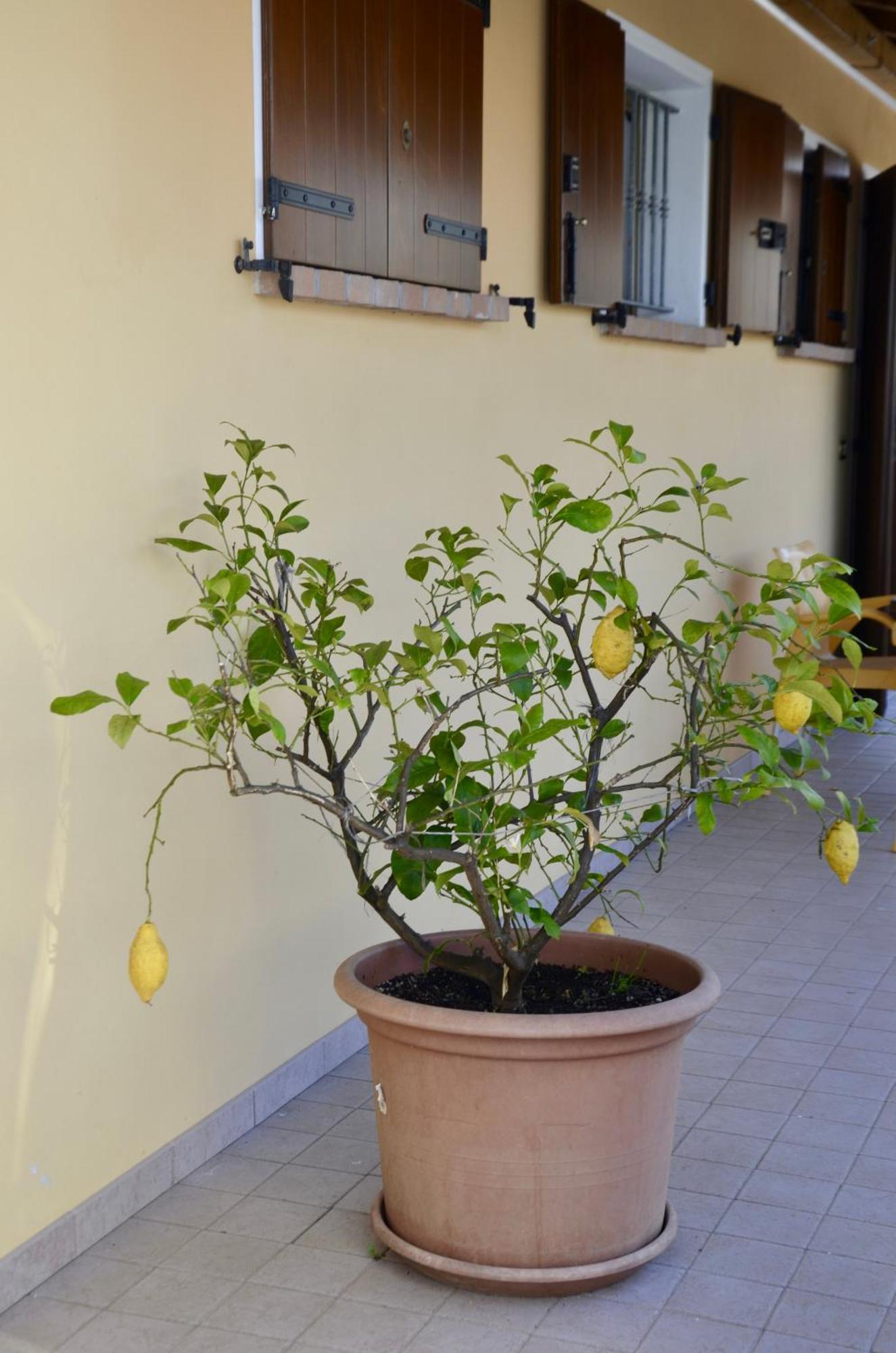A Casa Di Amici Villa Vidor Eksteriør billede